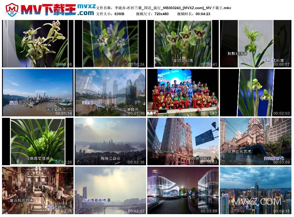 李晓舟-杉杉兰歌_国语_流行_MB303243